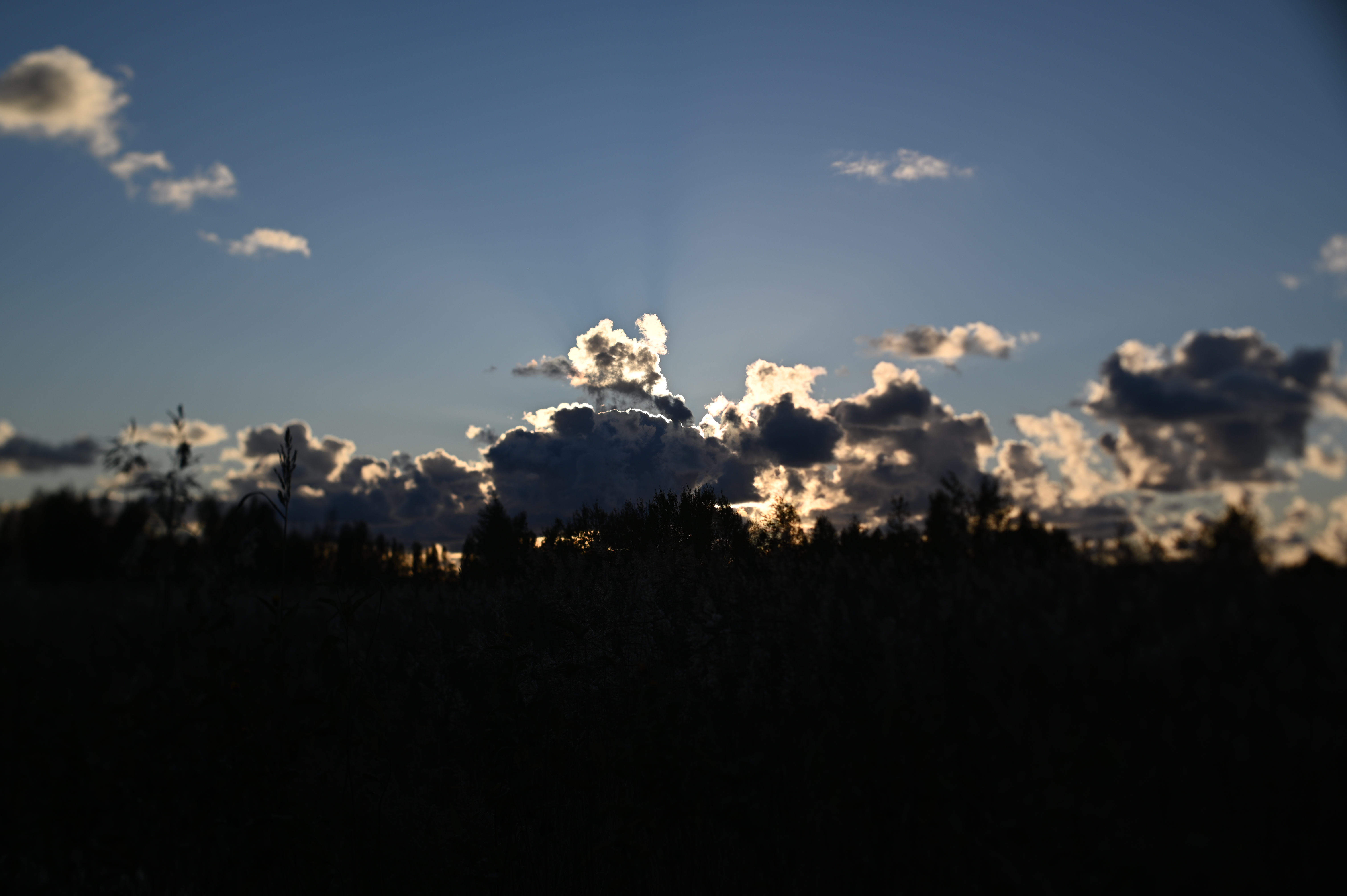 2025/10/18 - walk/DSC_0203.JPG